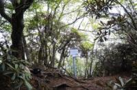 岳滅鬼山山頂